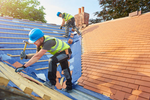 Best Gutter Installation and Repair  in Knoxville, TN